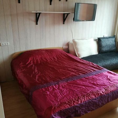 Flat, 1 Room, Study Panevėžys المظهر الخارجي الصورة