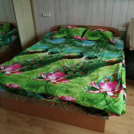 Flat, 1 Room, Study Panevėžys المظهر الخارجي الصورة